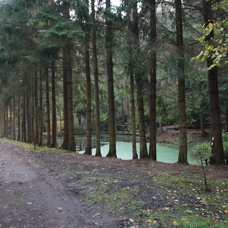 Haus Schmetterfly By Interhome 펜션