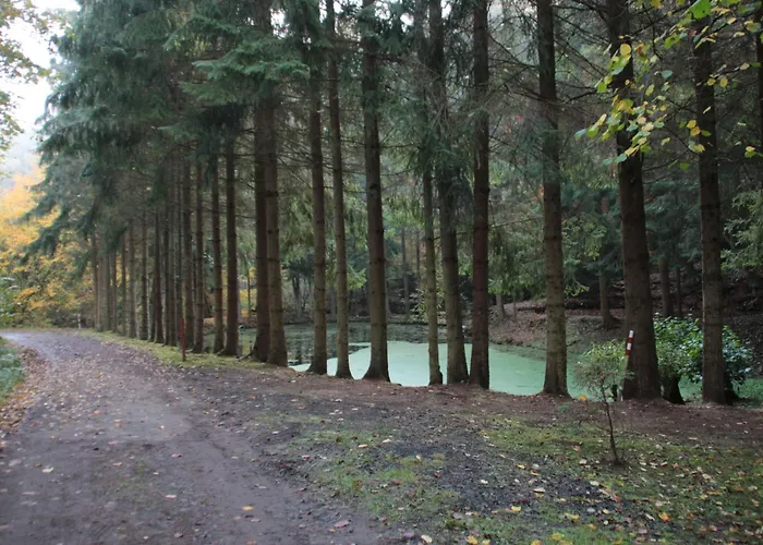 Haus Schmetterfly By Interhome Nyaraló